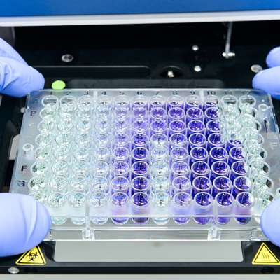 A laboratory technician handles a multi-well plate filled with colored liquids.