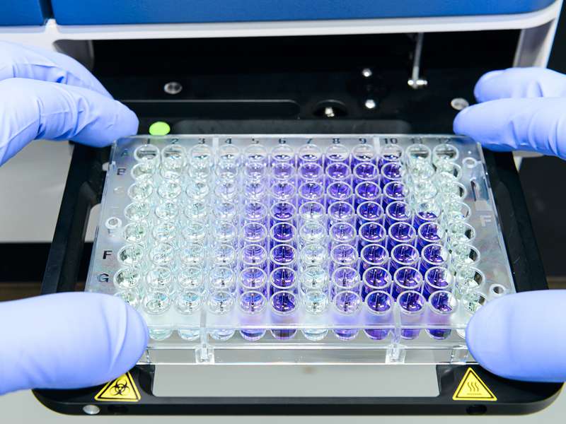 A laboratory technician handles a multi-well plate filled with colored liquids.
