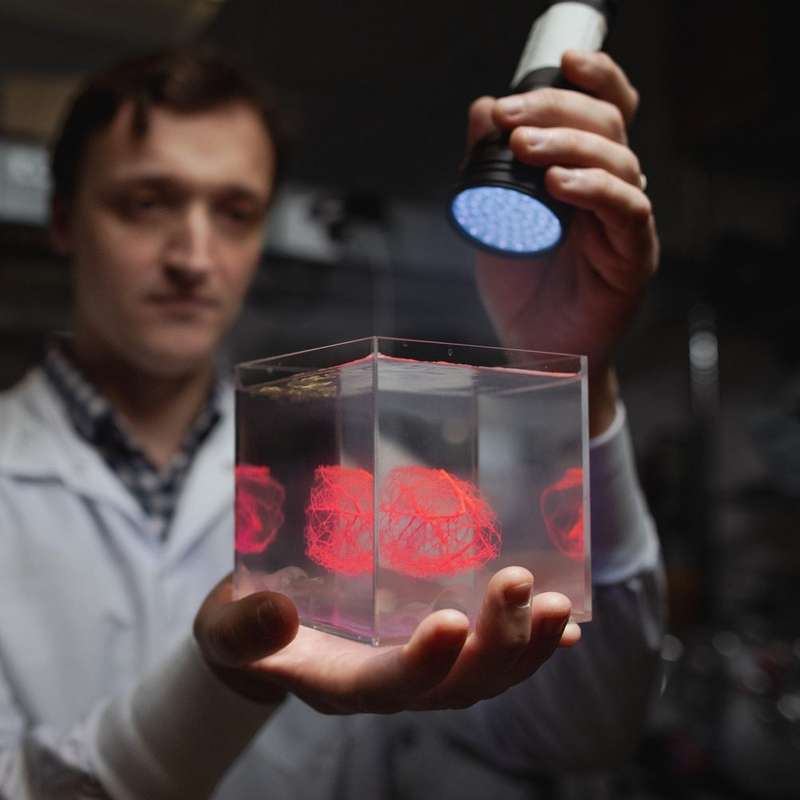 Researcher Mark Skylar-Scott, in a white lab coat, holds a clear cube containing a 3D-printed structure that glows red under the blue UV flashlight he shines on it.
