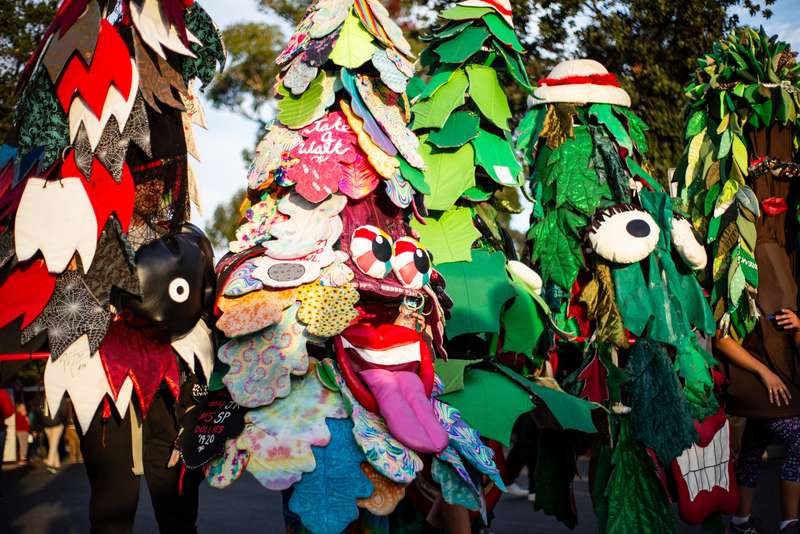 Students dressed as colorful trees with various playful designs gather for a parade or event outdoors.