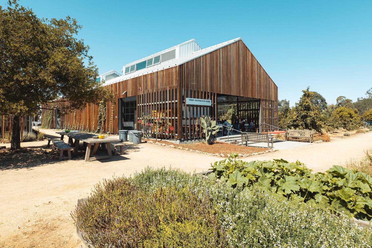 Harvard sustainability and farm