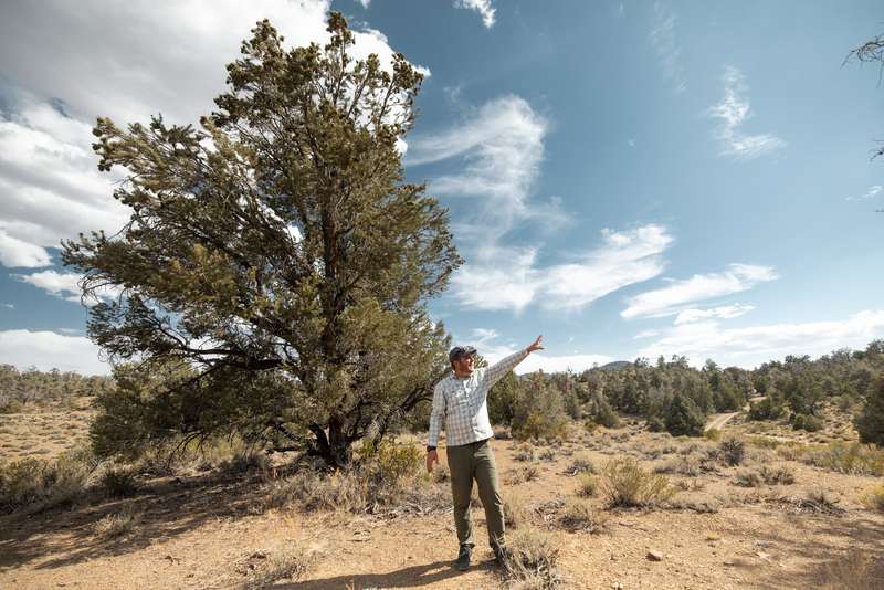 A person gestures towards the horizon while standing in a dry landscape with shrubs and trees under a blue sky.