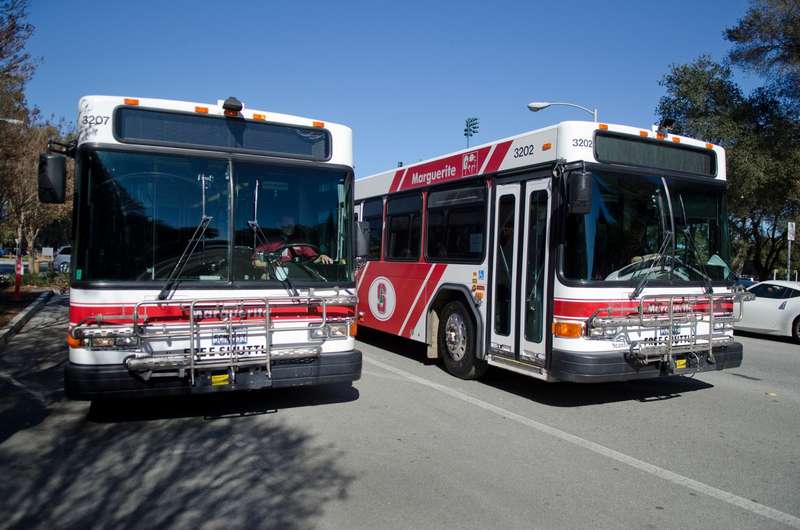 Two red and white Marguerite shuttle buses parked side by side under a clear blue sky.