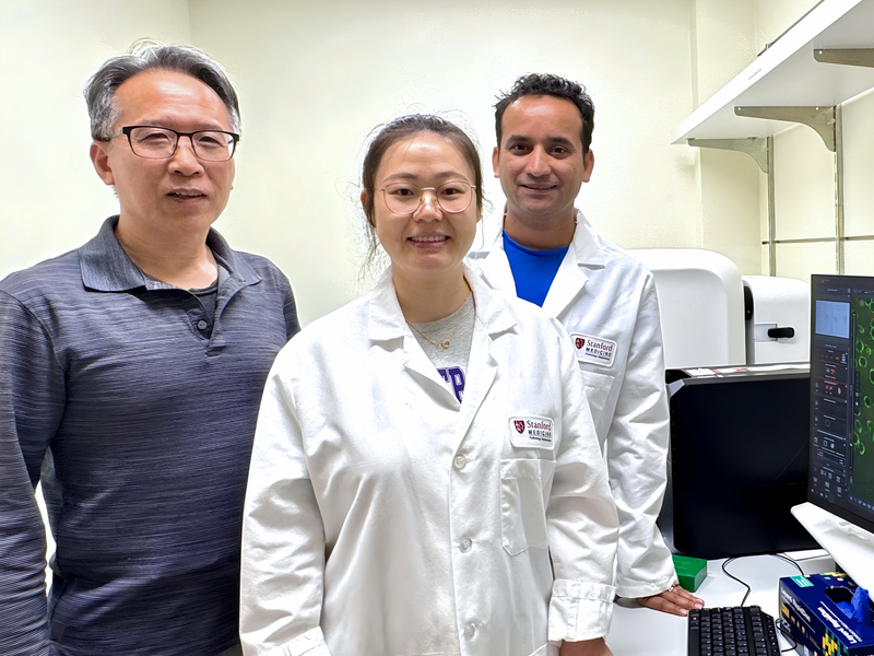 Bingwei Lu, Wen Li, and Suman Rimal in the lab