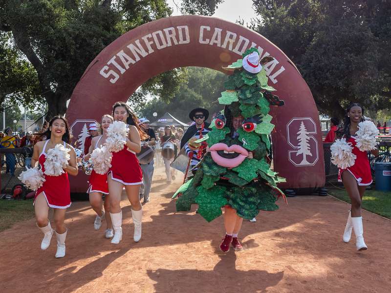 Tree mascot dancing with dollies