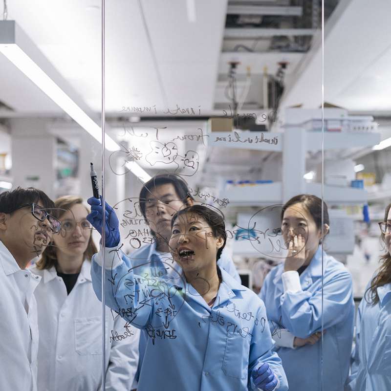 Researchers in lab coats collaborate as Stanford biochemist Lingyin Li writes on a glass board and explaining concepts to the group in a laboratory setting.
