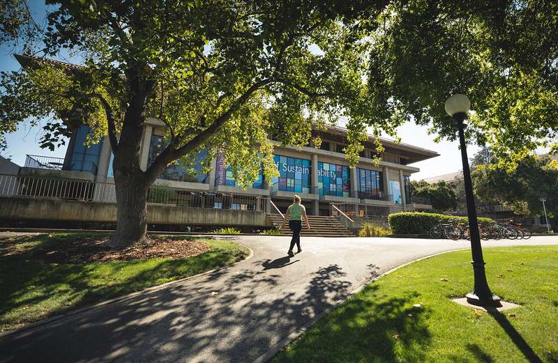 A person walks on a tree-lined pathway toward the Doerr School of Sustainability building with large windows displaying sustainability banners.