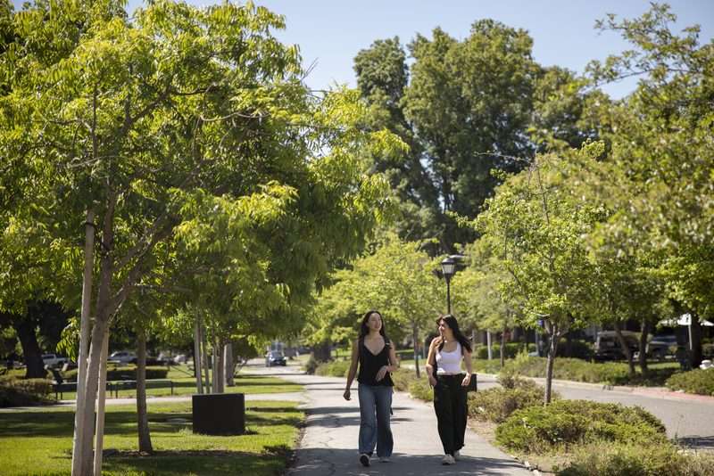 Two people walking on a tree-lined path on a sunny day.