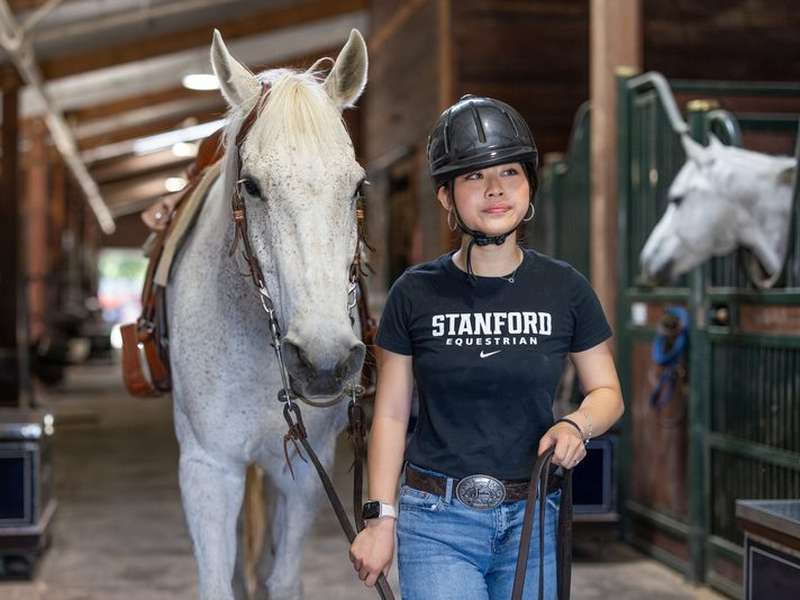 Angeline Yu, in a riding helmet and Stanford Equestrian shirt, leads a saddled white horse by the reins down the aisle of a stable.