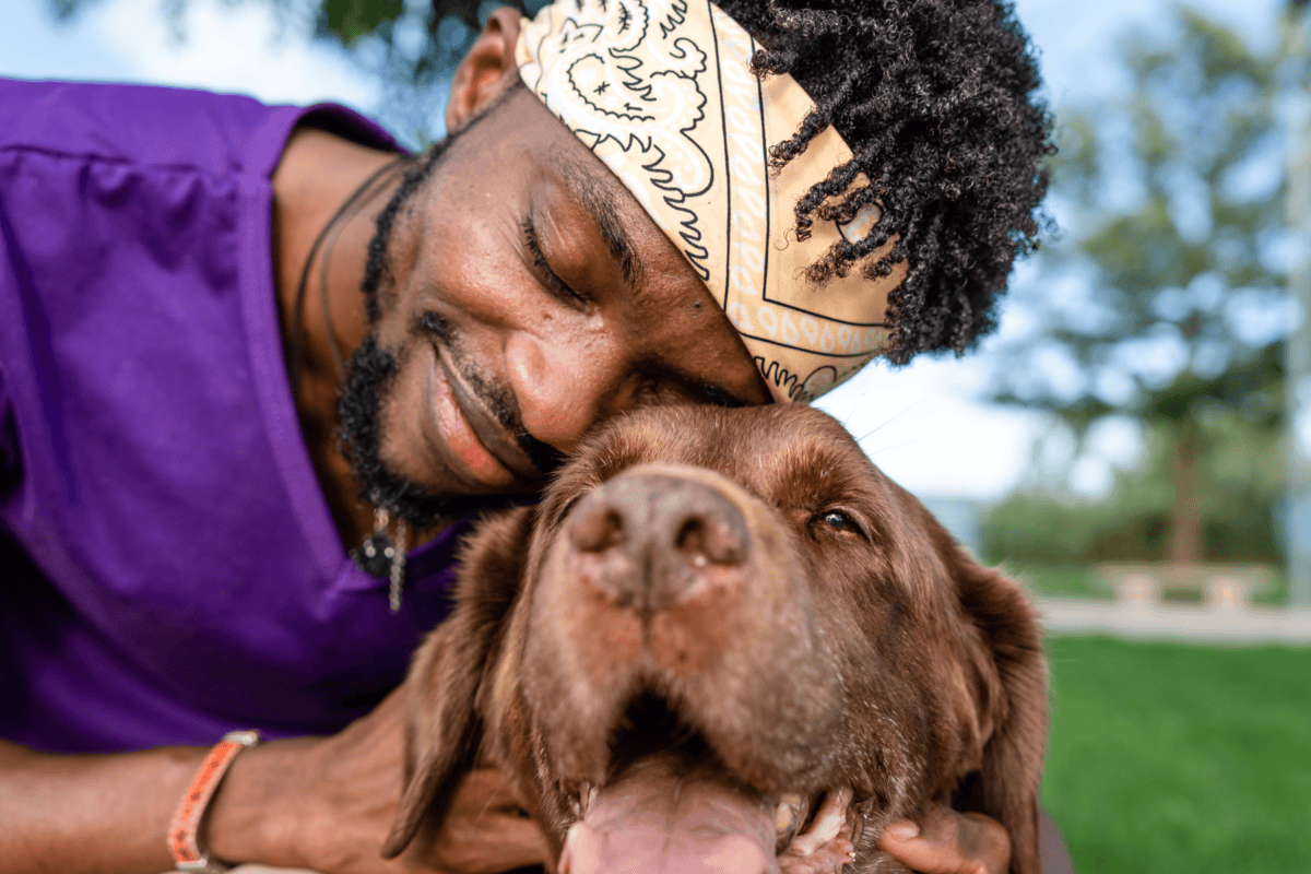 What Is a Data Plan?