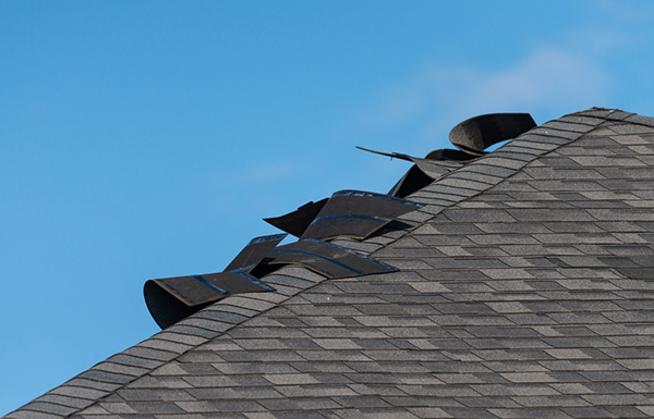 Sloped roof with asphalt shingles peeled up after a windstorm
