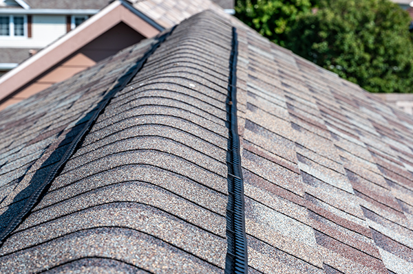 ridge vent on shingle roof