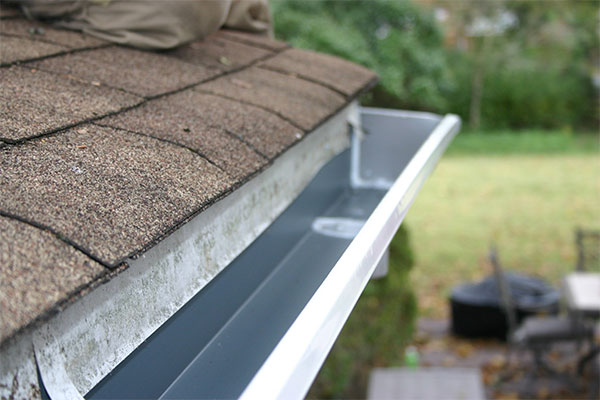 Clean, empty gutter attached to a shingled roof, with a blurred background showing a garden area.
