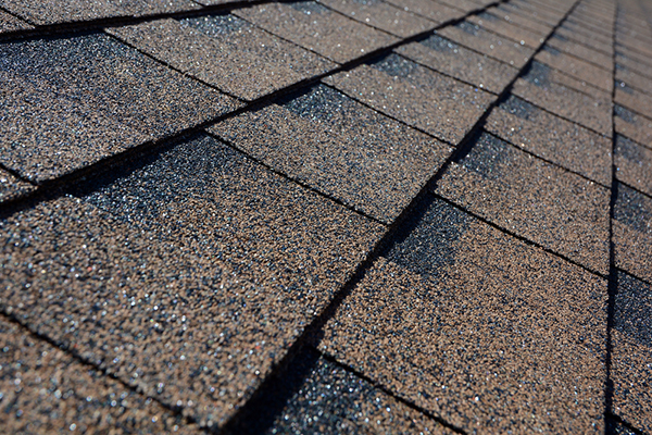 Asphalt roof shingles