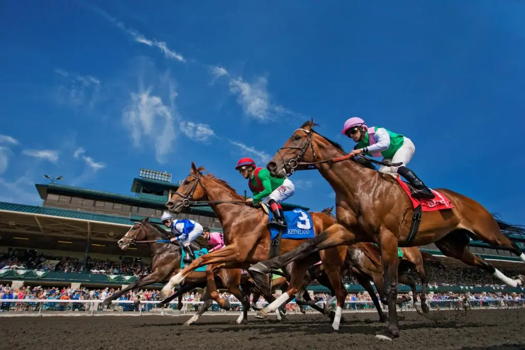 Closing Weekend at Belmont at the Big A Updated