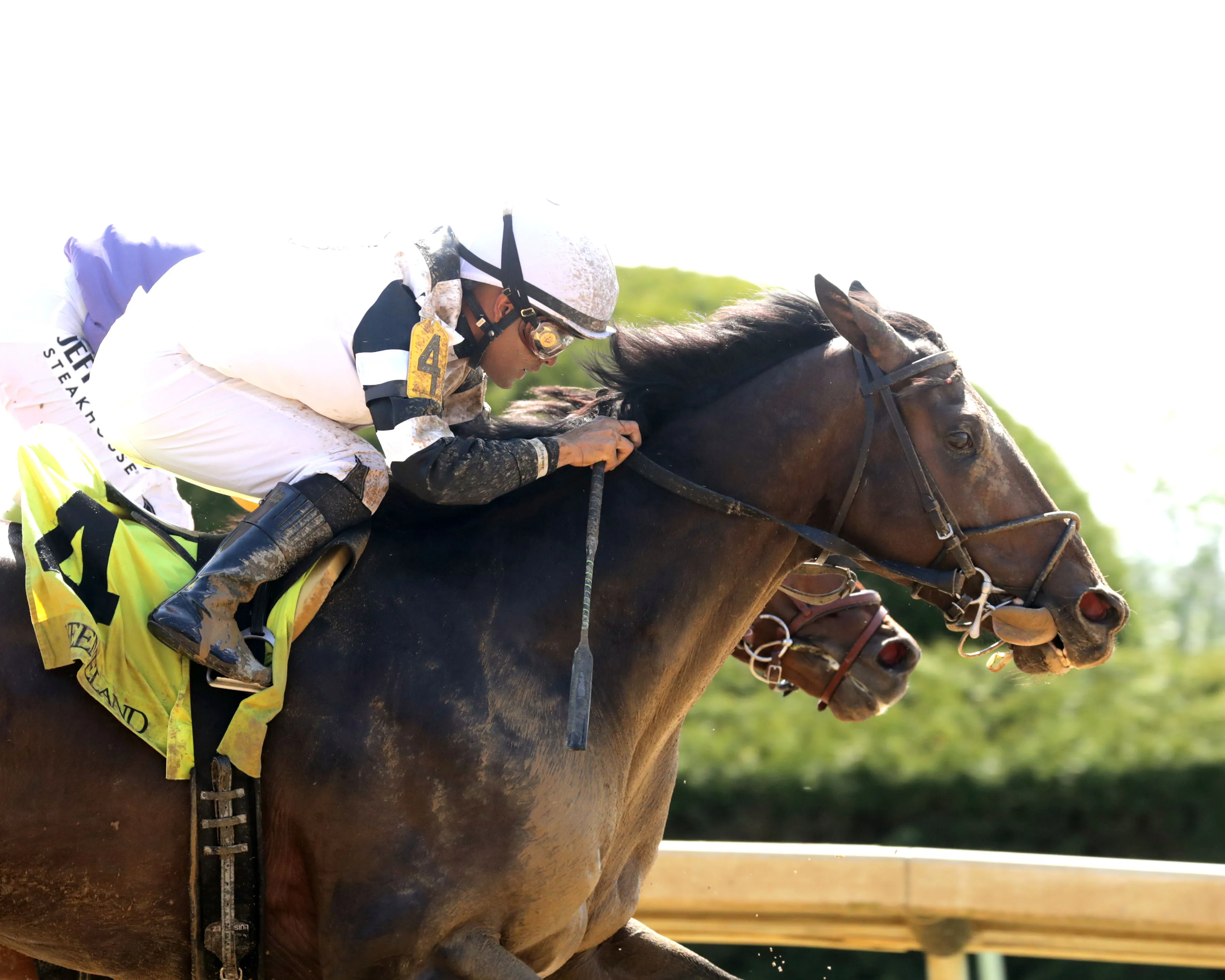 TROUBLE CALLING - The Lafayette - 04-03-26 - R05 - Keeneland Race Course - Finish 03 - Cady Coulardot.jpg