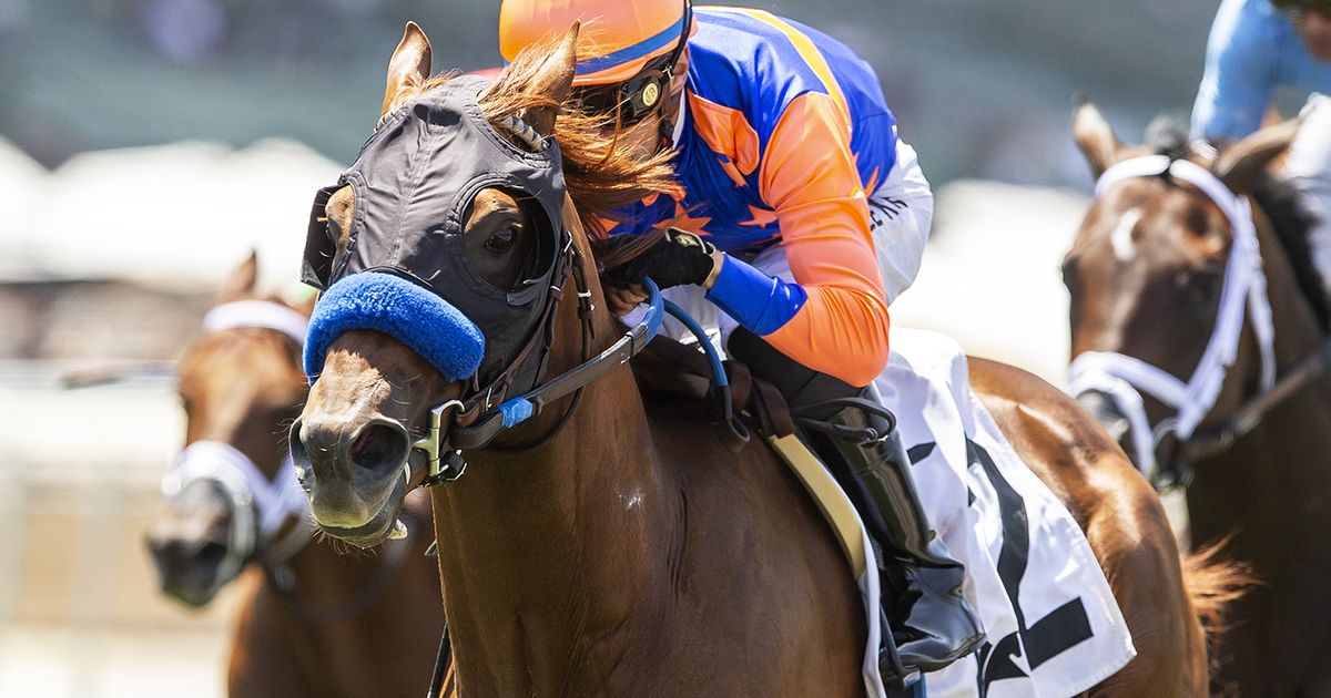 Final Boss, Kilroe Mile winner in March, retired due to injury