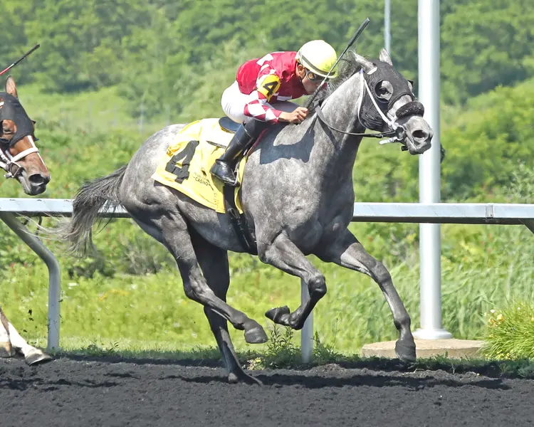 Horsepower wins Karl Boyes at PID July 4 2025