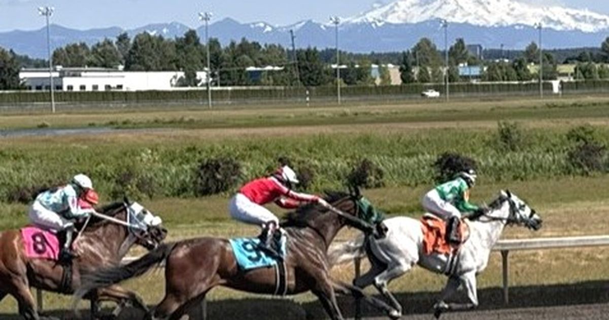 Emerald to drop four August dates due to horse population, declining handle