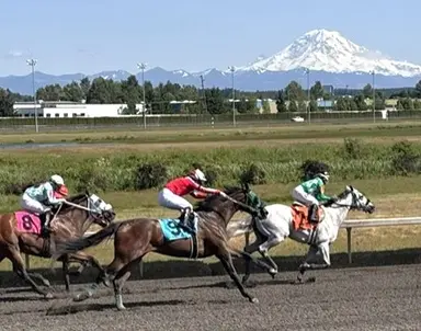 Elegant Boy may get right setup in competitive field