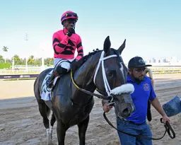 Joseph, Hughes team up to sweep turf stakes with Gran Oriente, Turino