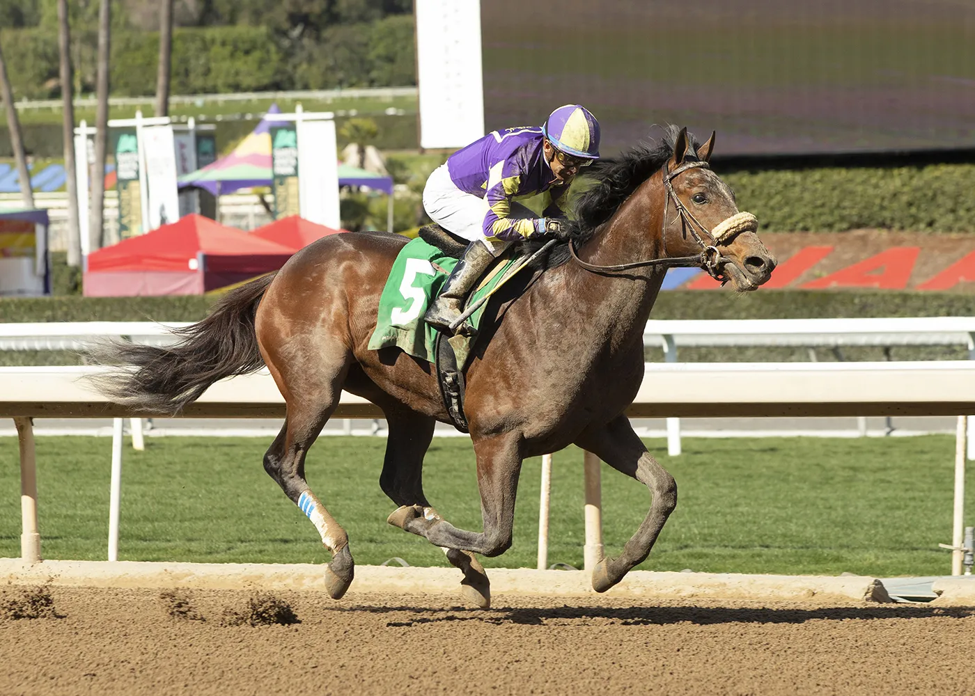 Skinner, maiden win