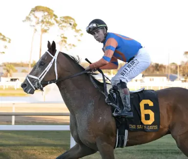 Kentucky Derby pedigree profile: Renegade