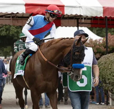 Buetane expected to continue Baffert's San Vicente dominance