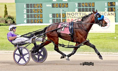 Odds On Hialeah 5-16-25