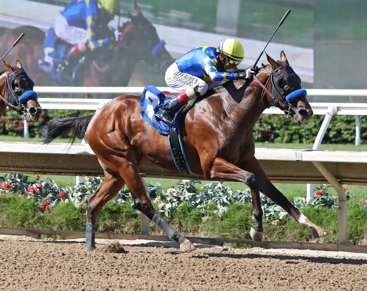National Treasure wins maiden at SA Sept 3 2022