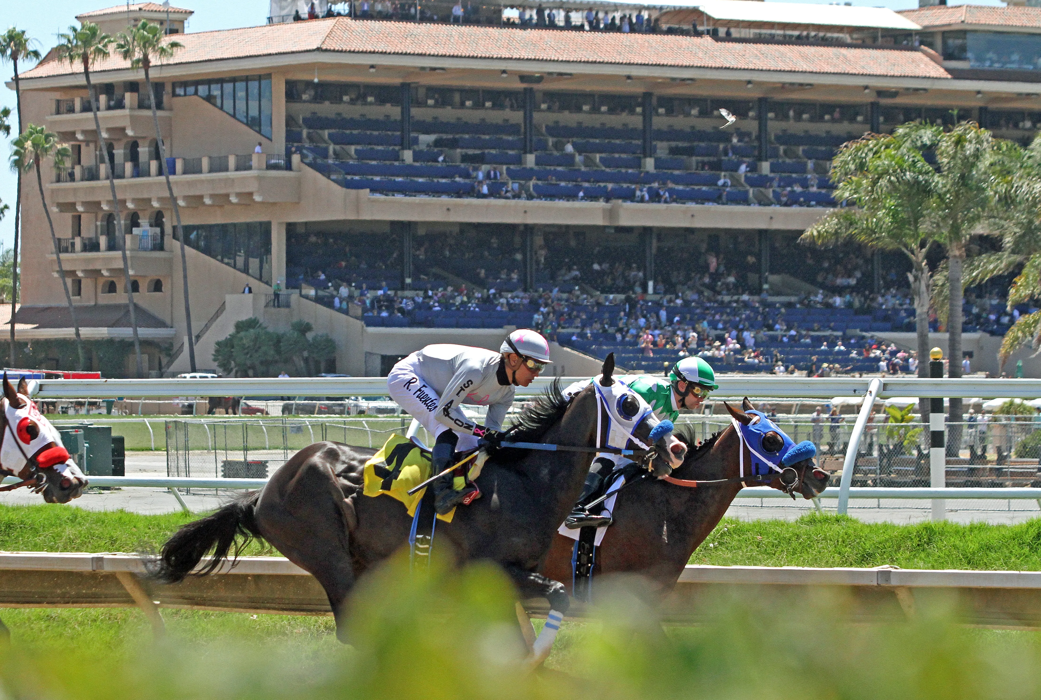 Del Mar racing scenic 7.20.19