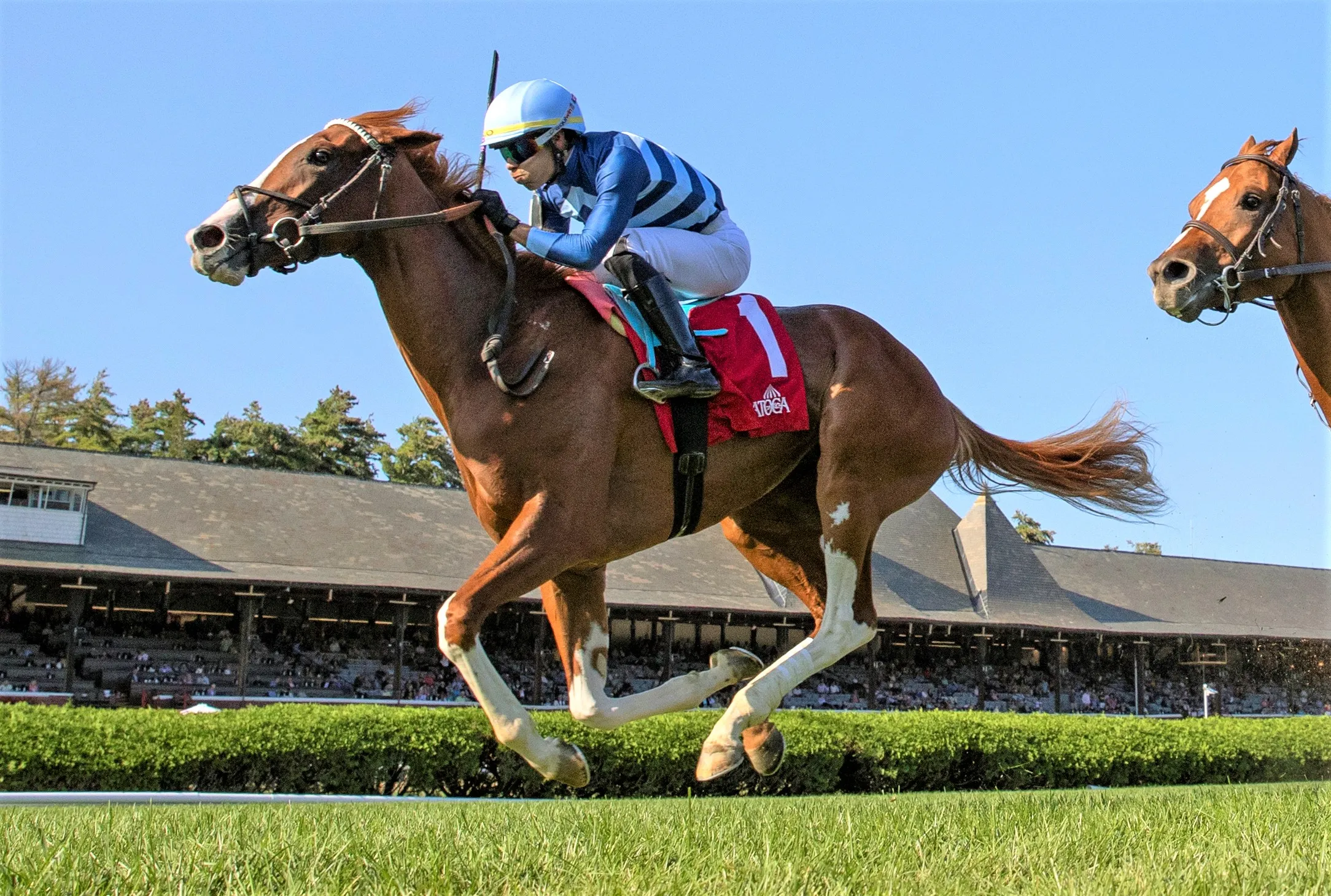 Gala Brand wins With Anticipation at SAR Aug 31 2023