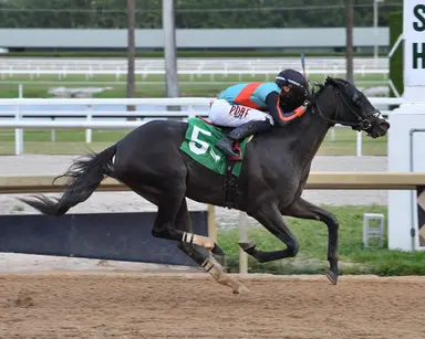 Lightning Tones, last early, catches Lure Him In for Sunshine Classic victory