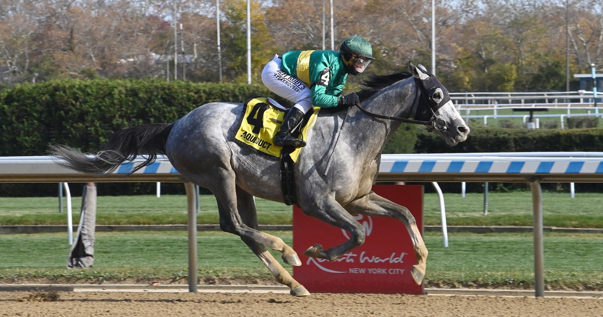 Signator more suited to Queens County