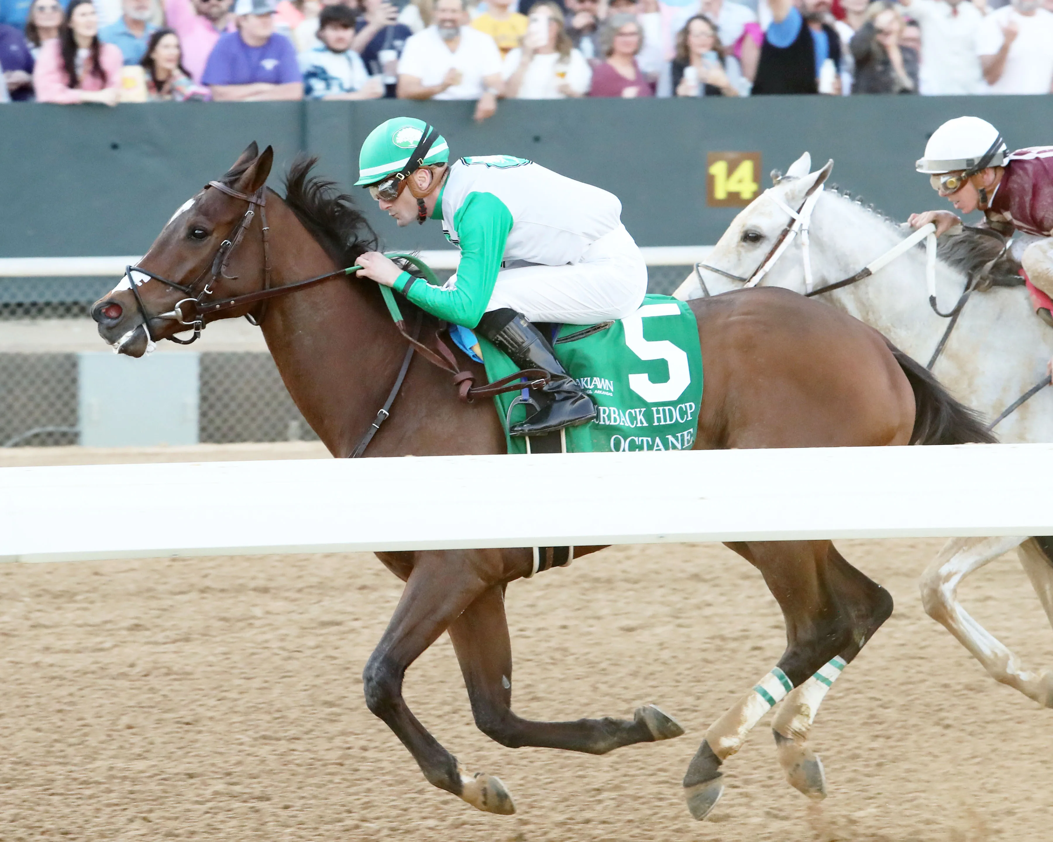 OCTANE - Razorback Handicap G3 - 65th Running - 02-24-24 - R10 - Oaklawn Park - Inside Finish - John Gallagher.jpg