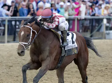 2025 Eclipse Awards: Journalism