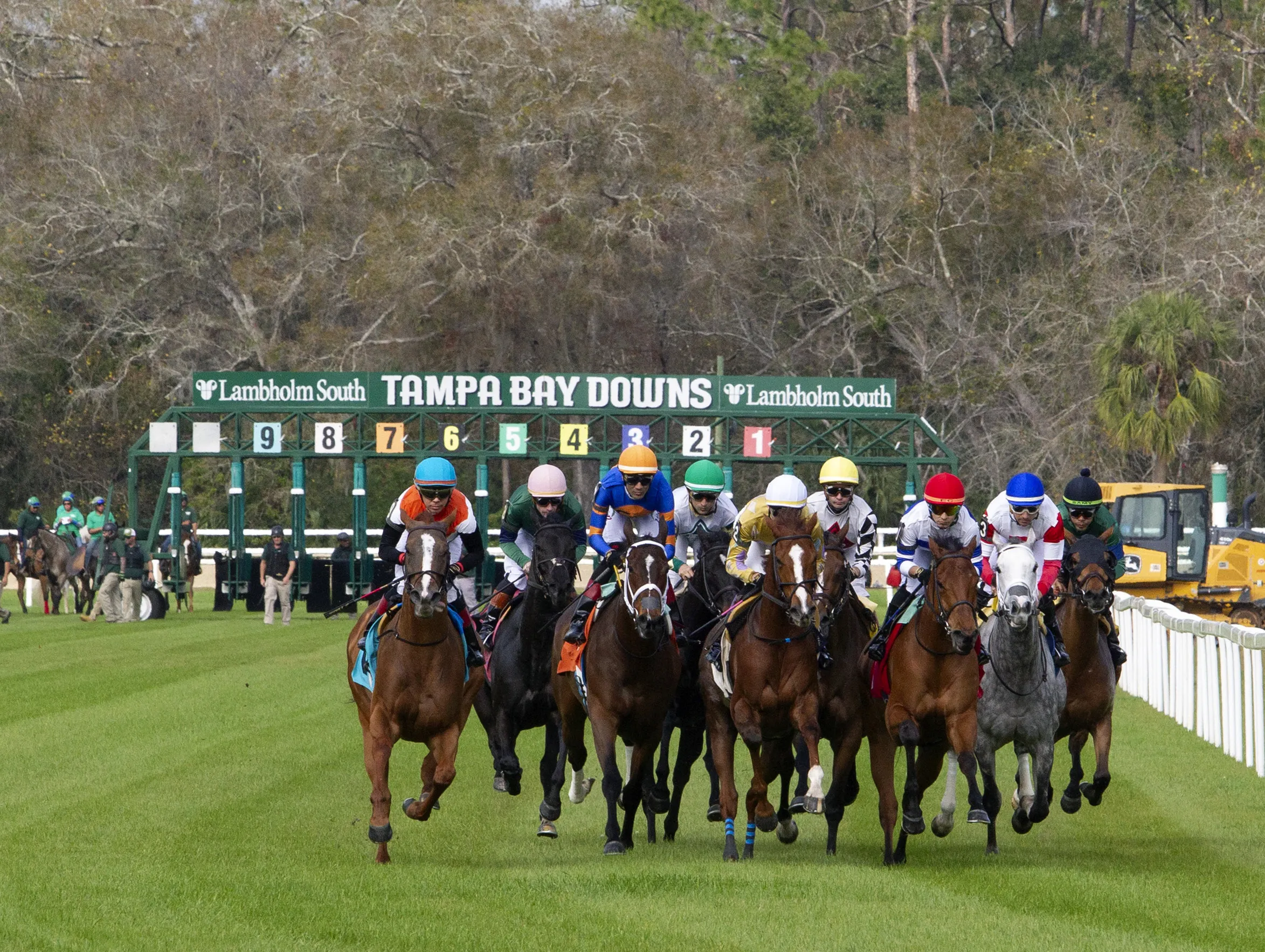 Tampa Bay Downs04.Scenic.2-1-25.TK_.jpg