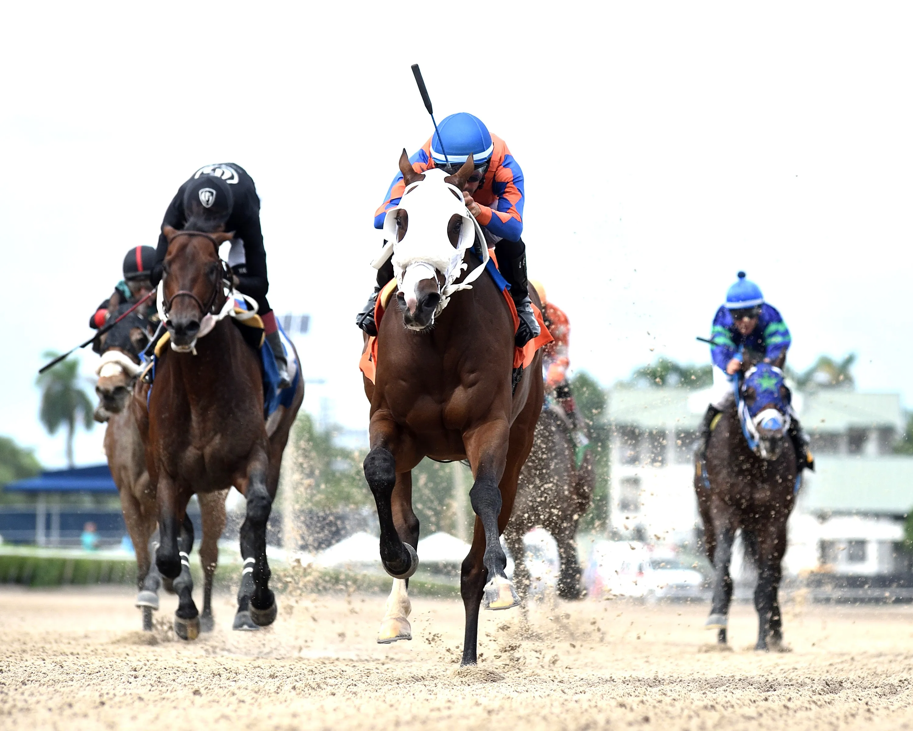Big and Classy wins the Jackson Bend at GP 9-23-2023