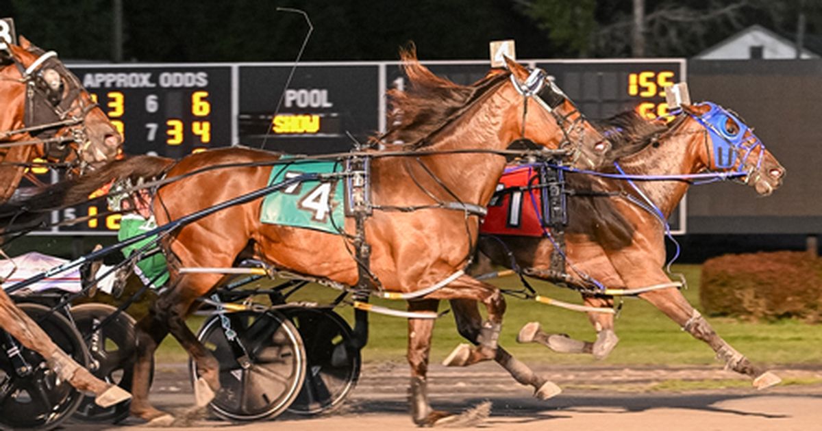 Saratoga Harness: Boyd bags another big one in Joe Gerrity Jr. Memorial