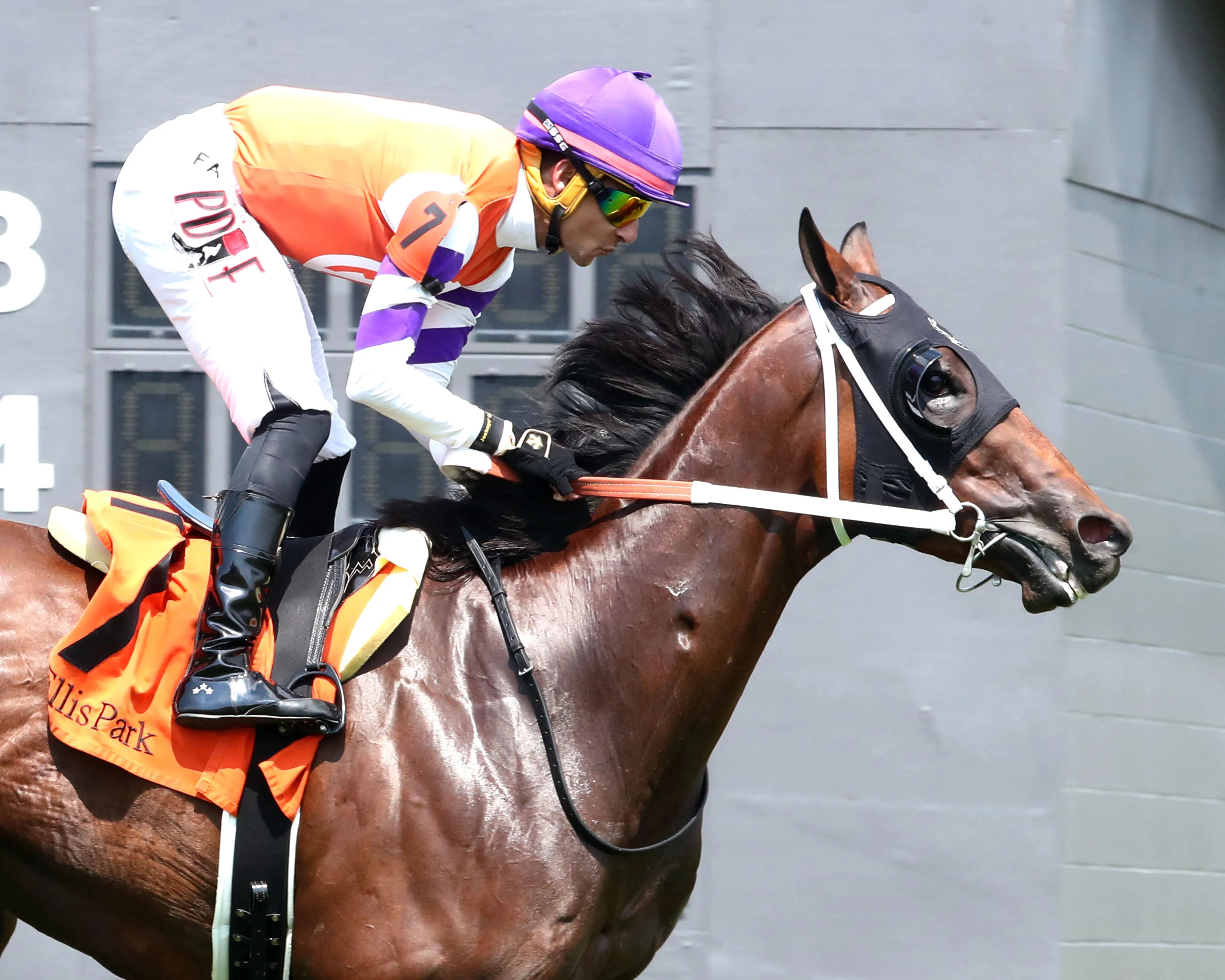 TWO SEVEN O - Dade Park Dash Stakes - 07-04-26 - R08 - Ellis Park - Finish 04 - Pumita Rodriguez
