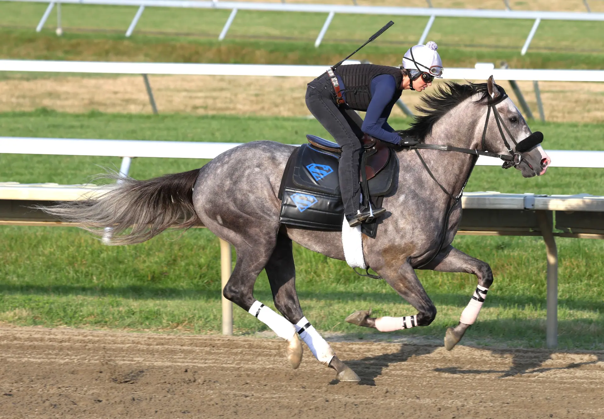 Haskell Stakes: Napoleon Solo out to validate Preakness success