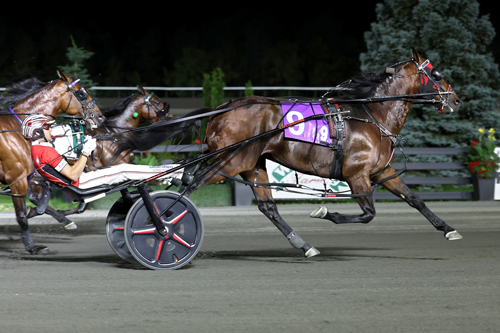 Meadowlands: Ervin Hanover leads Pollack's stakes sextet