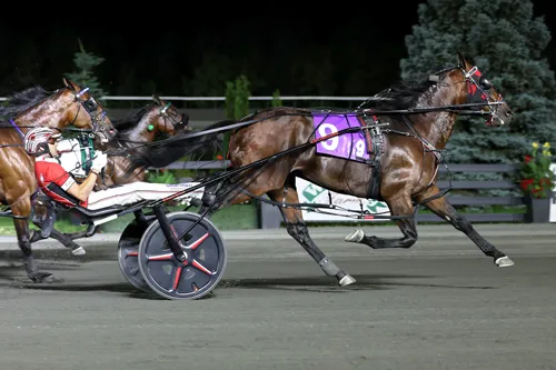 Ervin Hanover 6-13-26