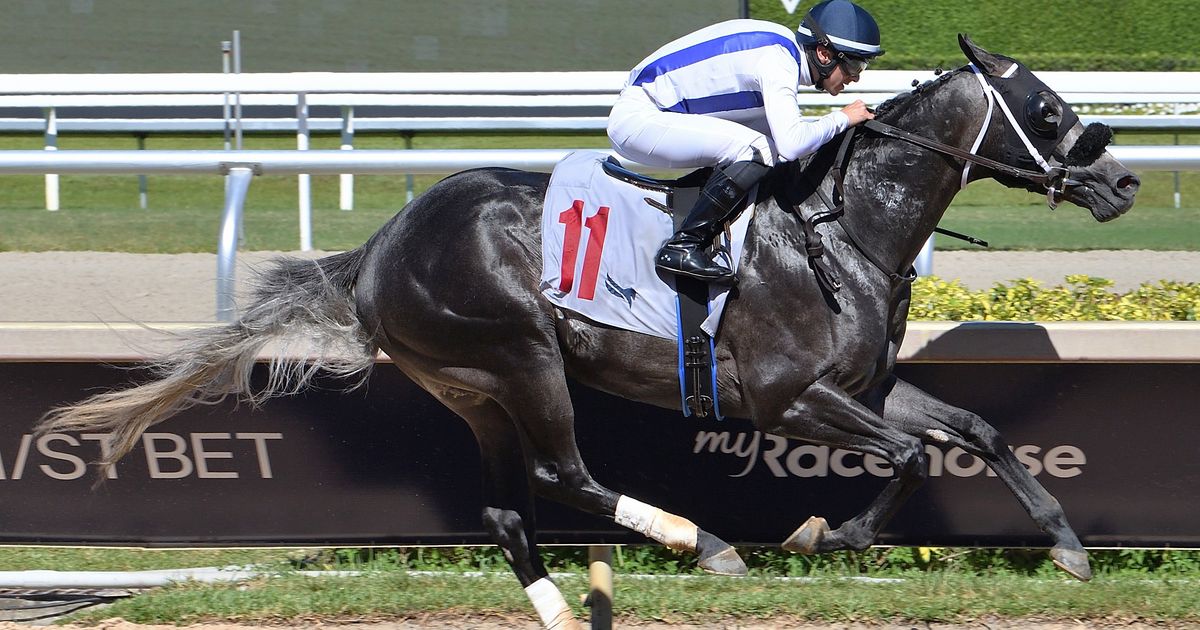 Azam reboots following ambitious stakes try
