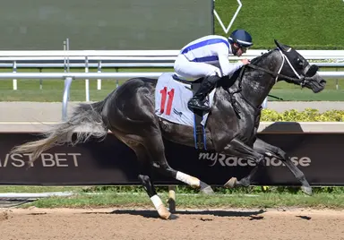 Azam reboots following ambitious stakes try