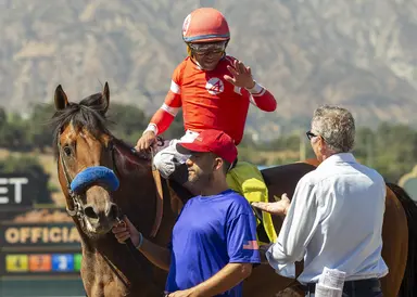 Secured Freedom tries turf for first time in Oceanside