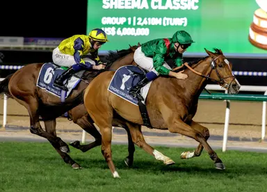 Calandagan faces tough crowd in King George