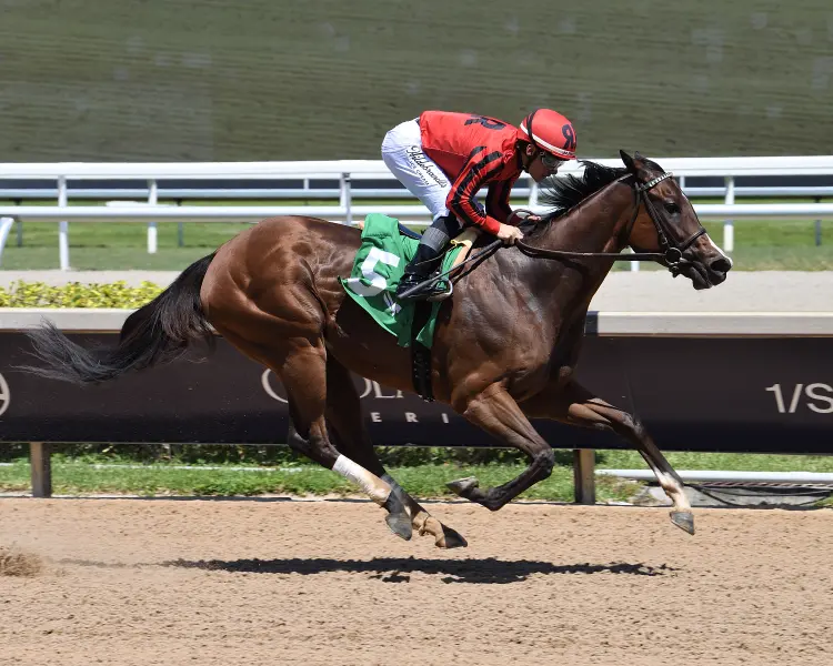 Nics Style the FHBPA Filly Mare Sprint credit Lauren King.jpg