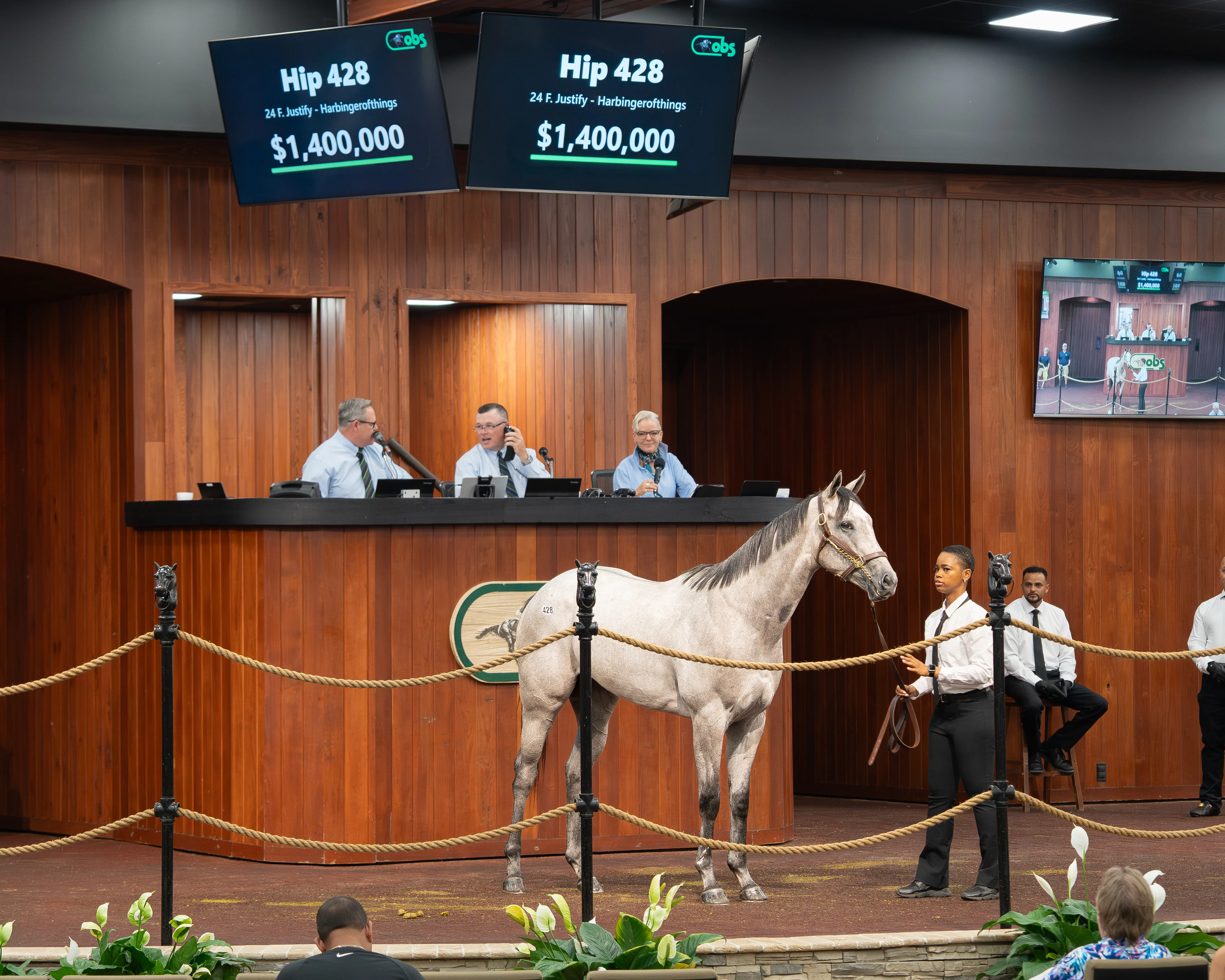 Hip 428 - 3 - OBS June 2026