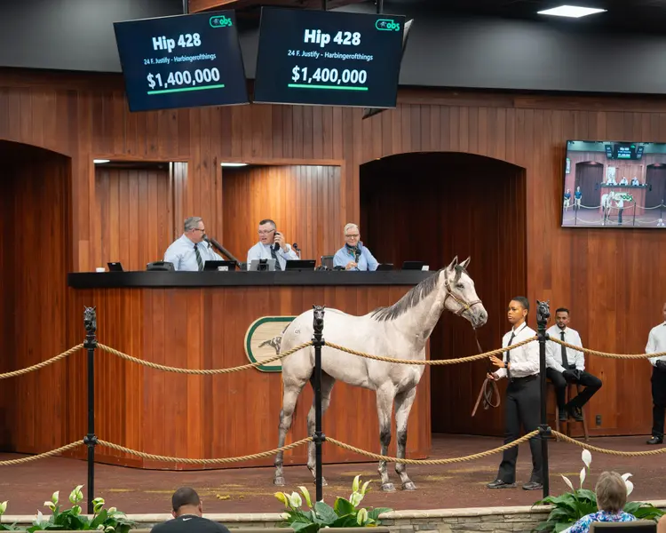 Hip 428 - 3 - OBS June 2026